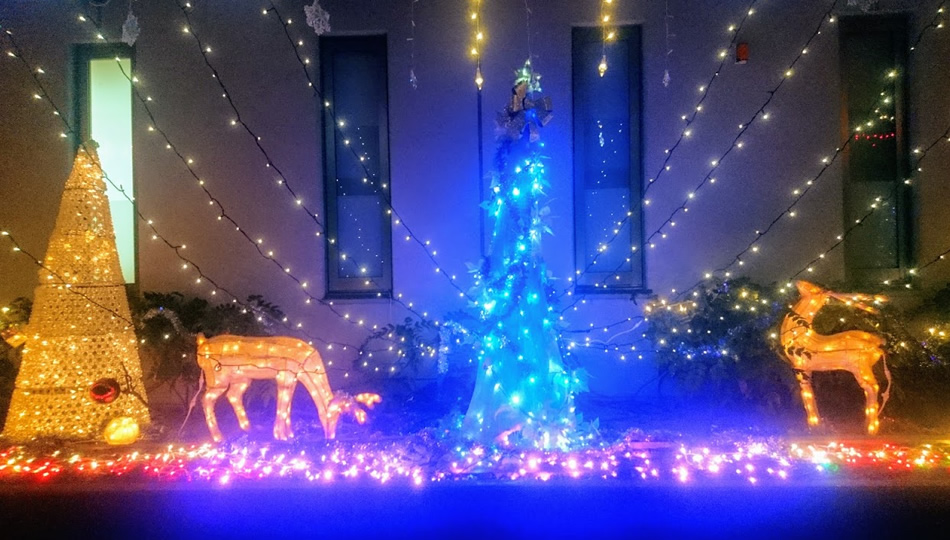 ウィンターイルミネーション