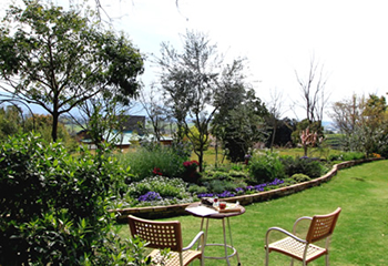 ガーデニングを楽しむ