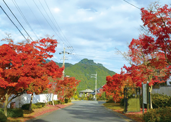街内を散策して四季を愉しむ。