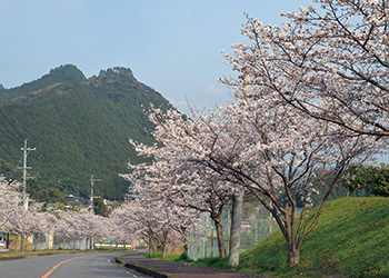 街内を散策して四季を愉しむ。