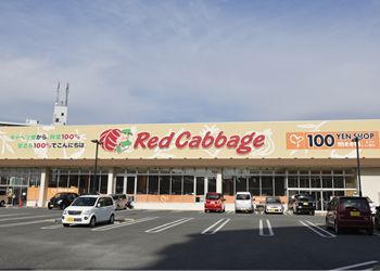 レッドキャベツ